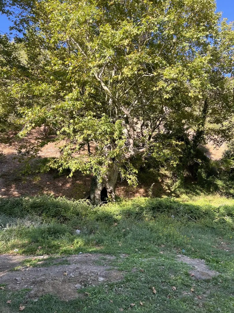 Suçıktı Camping Area — Balıkesir — küçük resim 4