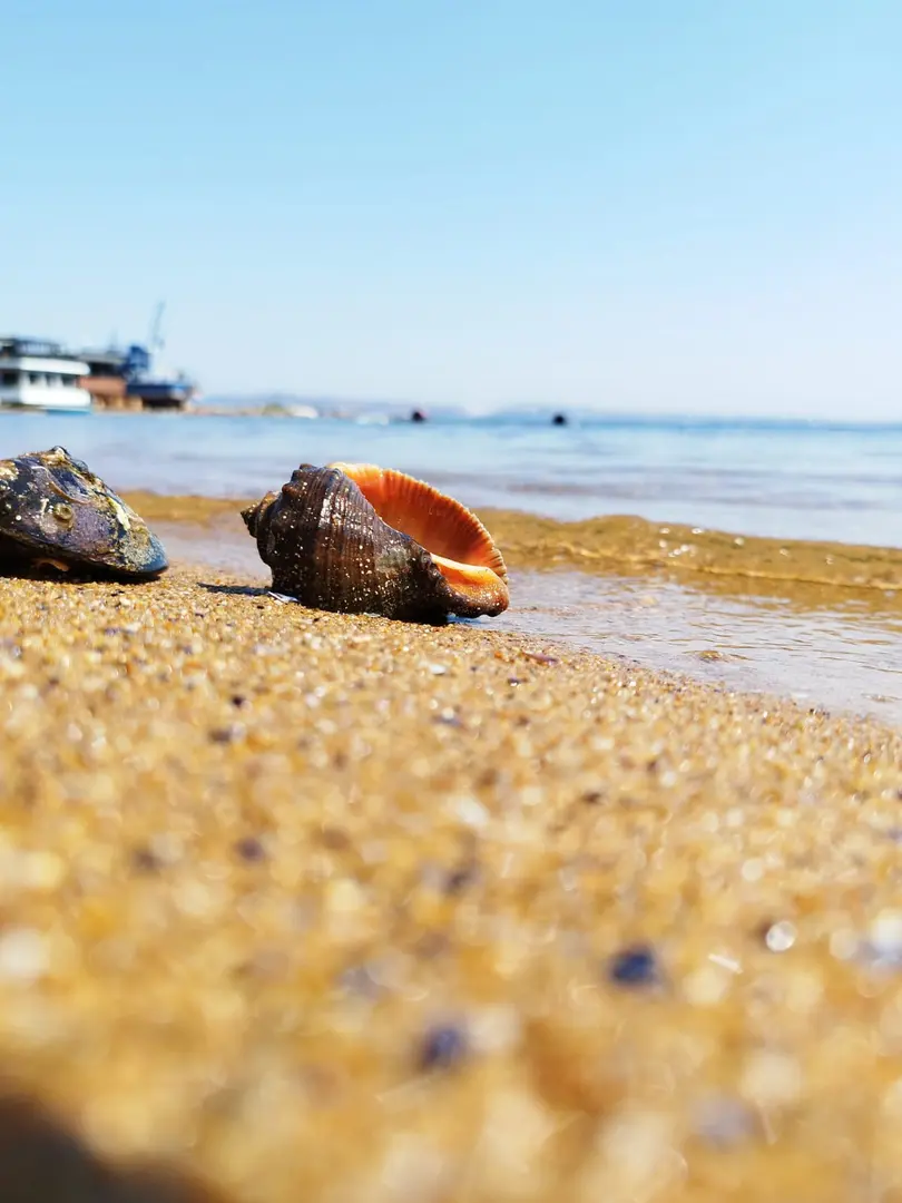 Tatlsu Camping — Balıkesir — küçük resim 3