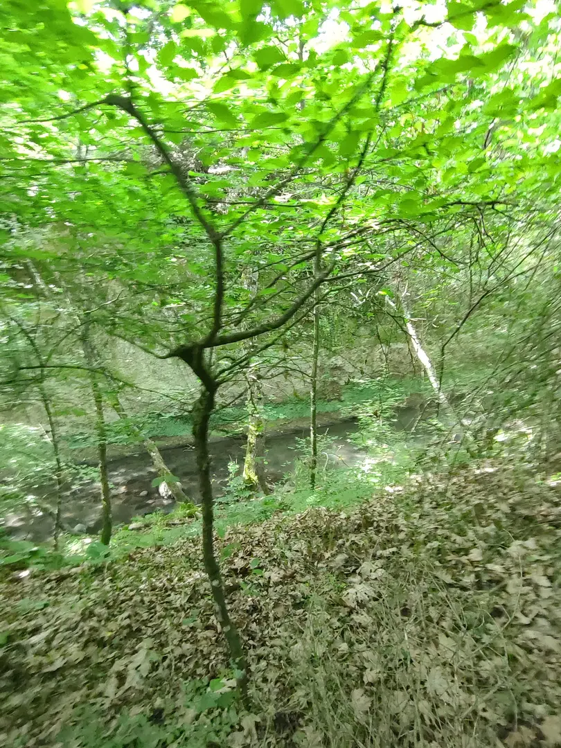 Artemea Yolu Camping Area — Balıkesir — küçük resim 9