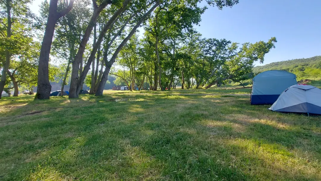 Artemea Yolu Camping Area — Balıkesir — küçük resim 4