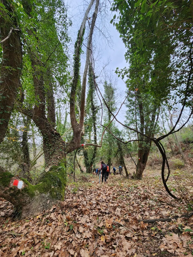 Artemea Yolu Camping Area — Balıkesir — küçük resim 8