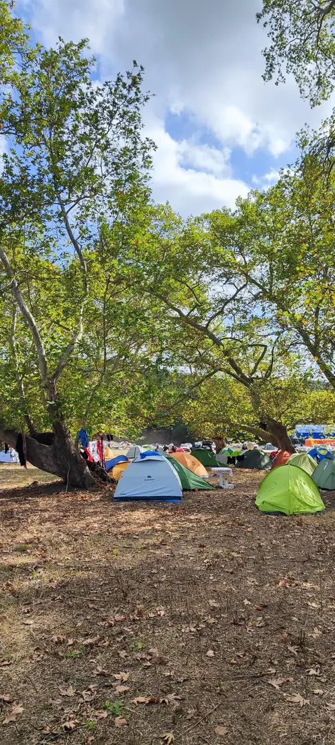 Artemea Yolu Camping Area — Balıkesir — küçük resim 2
