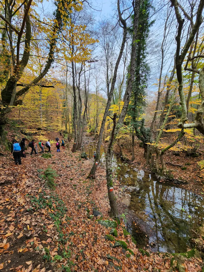 Artemea Yolu Camping Area — Balıkesir — küçük resim 6