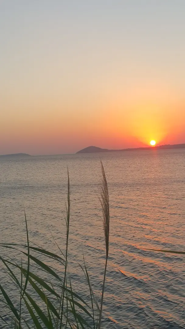 Çamlaraltı Camping — Balıkesir — küçük resim 5