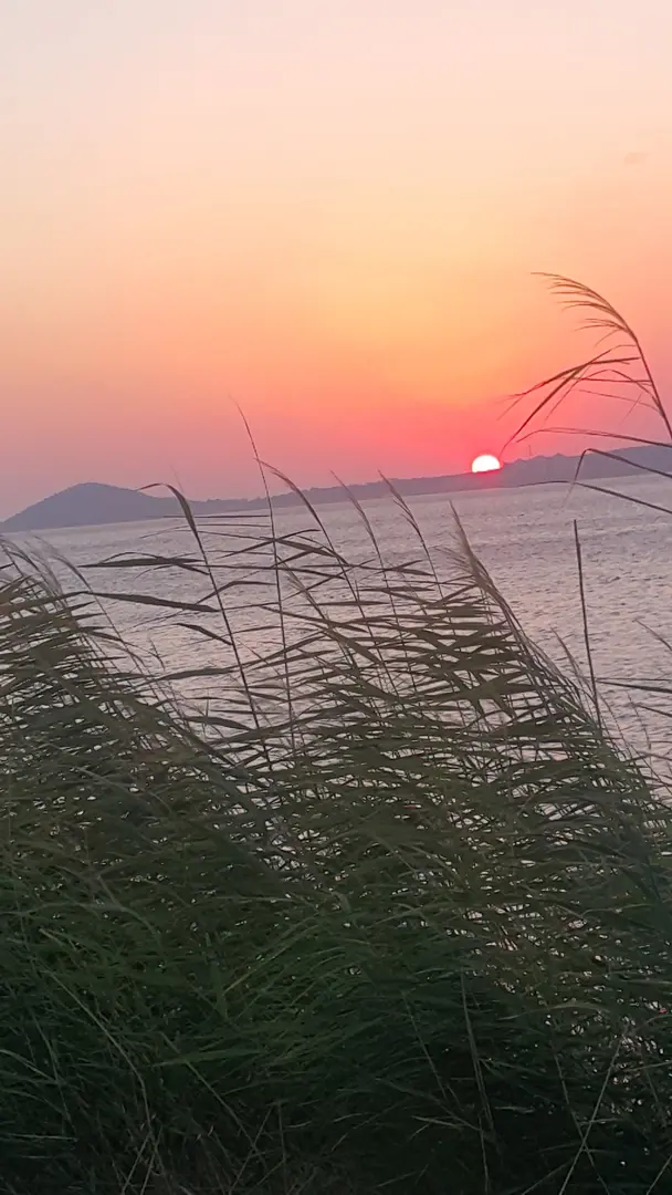Çamlaraltı Camping — Balıkesir — küçük resim 4