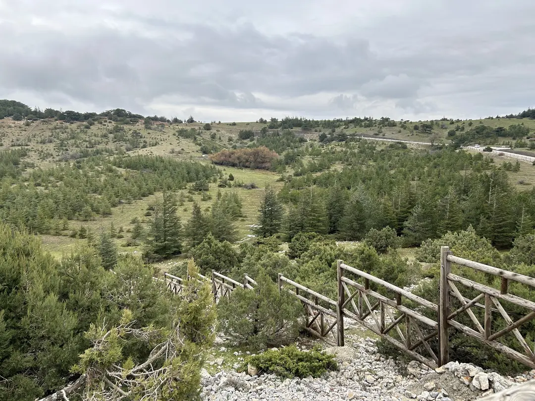 Süreyya Tabiat Parkı — Manisa — küçük resim 11