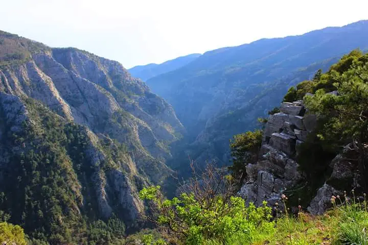 Kazdağı National Park — Balıkesir — küçük resim 2