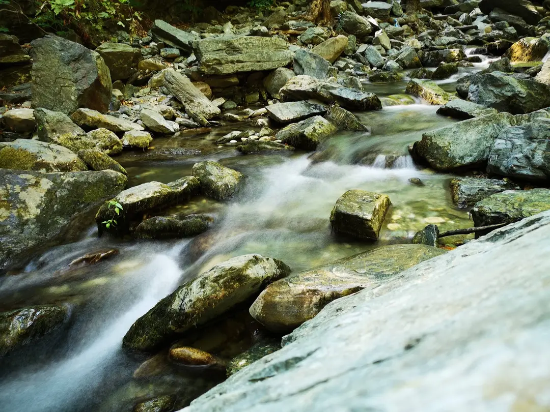 Kazdağı National Park — Balıkesir — küçük resim 9