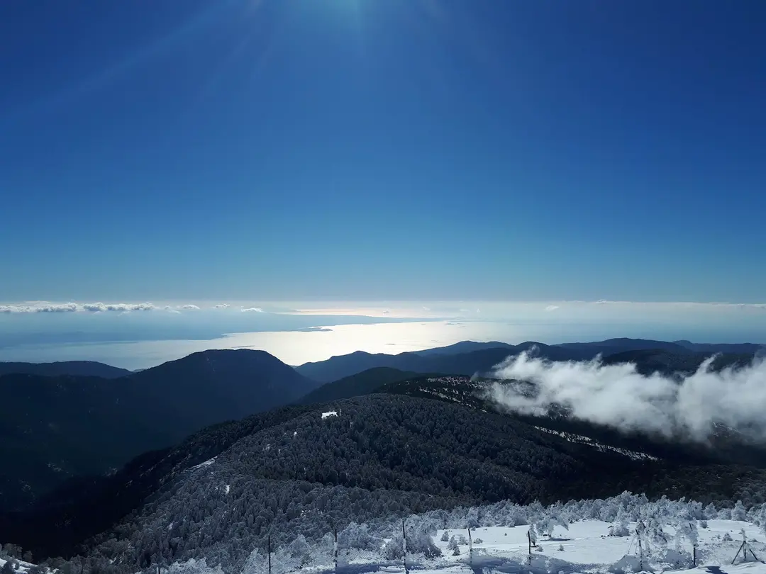 Kazdağı National Park — Balıkesir — küçük resim 5