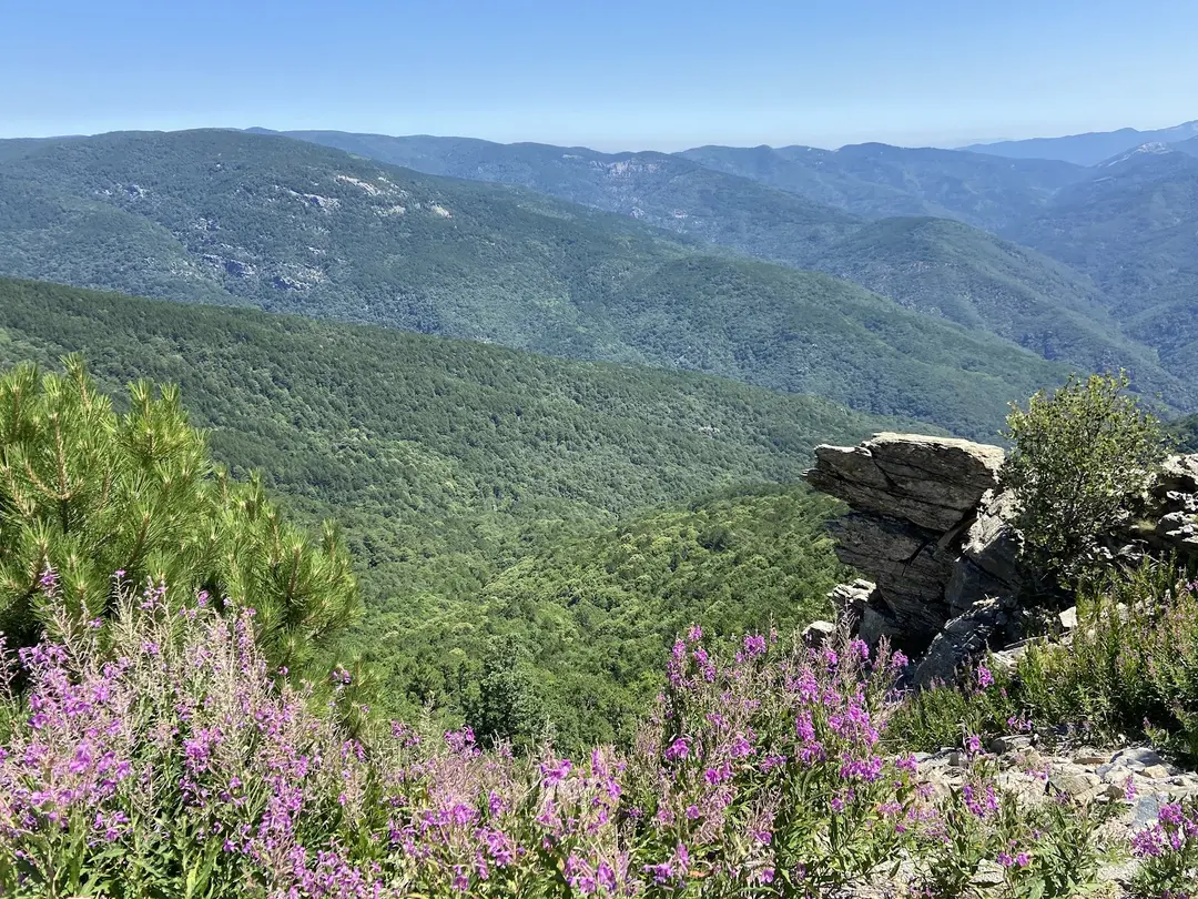 Kazdağı National Park — Balıkesir — küçük resim 6