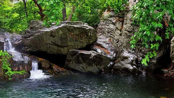 Kazdağı National Park — Balıkesir — küçük resim 3