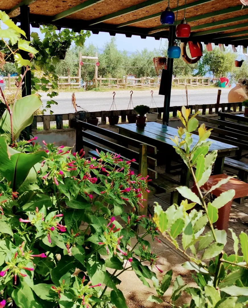 İznik Doğa Camping Cafe Restoran — Bursa — küçük resim 6