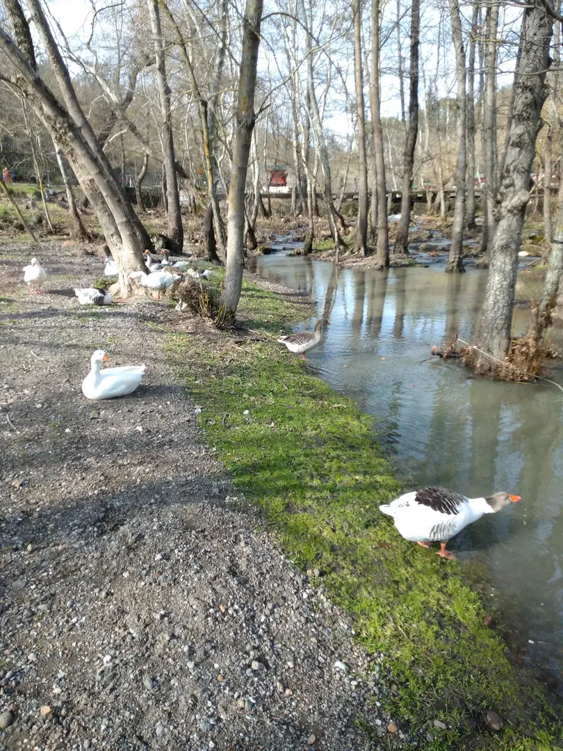 Değirmen Bofazı Freizeitpark für Kinder — Balıkesir — küçük resim 8