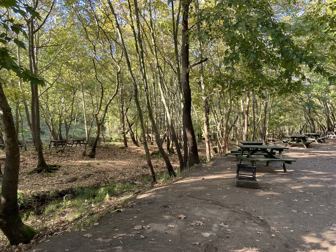 Değirmen Bofazı Freizeitpark für Kinder — Balıkesir — küçük resim 4