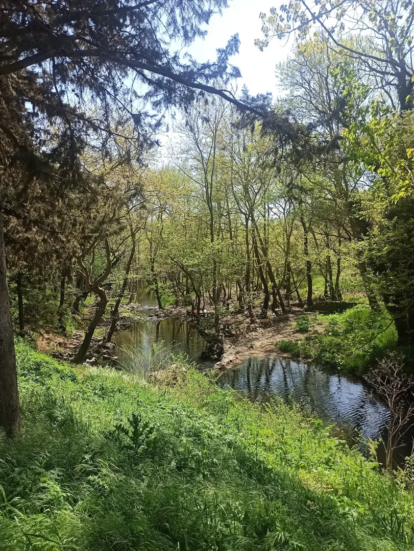 Balıkesir Picnic and Recreation Area — Balıkesir — küçük resim 10