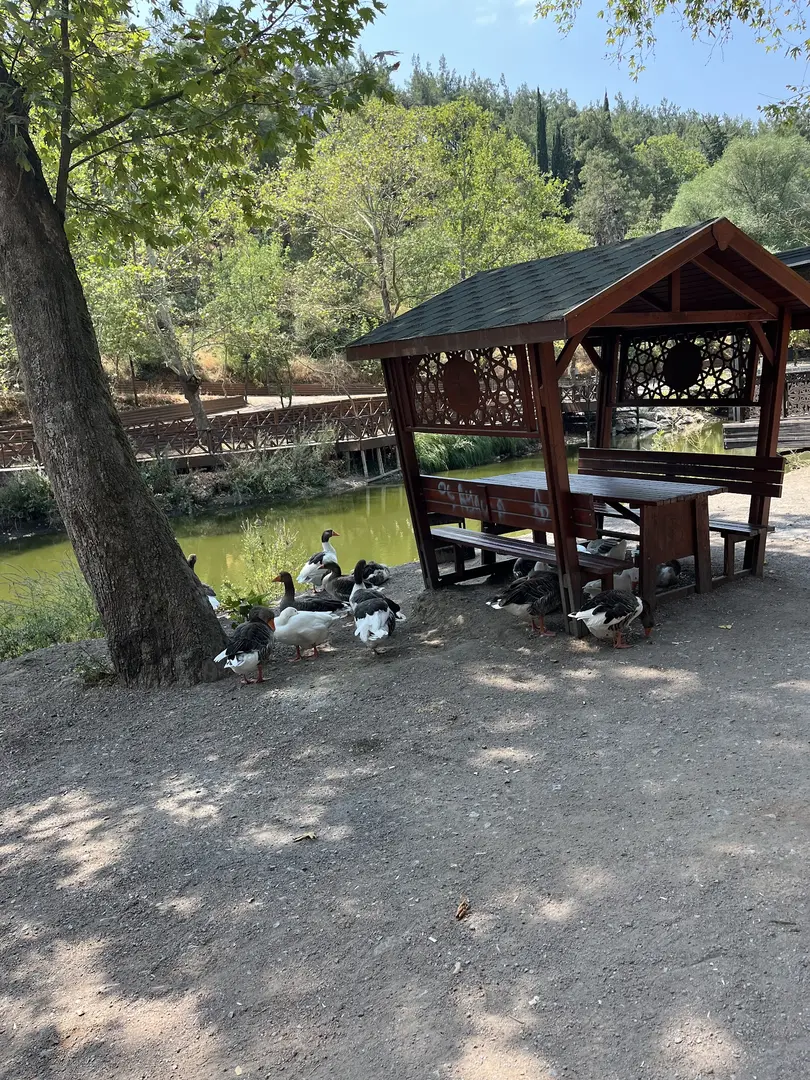 Balıkesir Picnic and Recreation Area — Balıkesir — küçük resim 3
