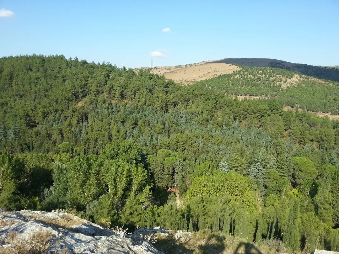 Balıkesir Picnic and Recreation Area — Balıkesir — küçük resim 7