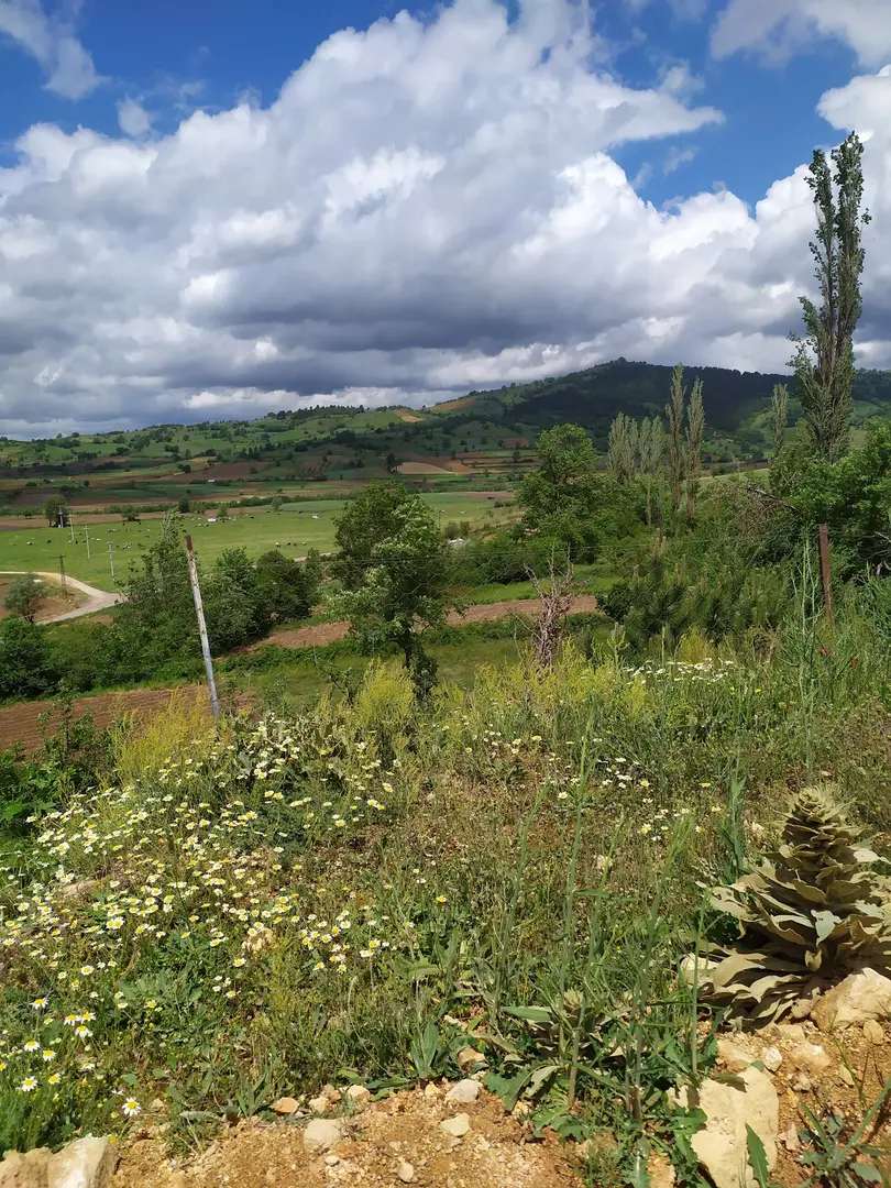 Yaylabayır Municipality — Balıkesir — küçük resim 7