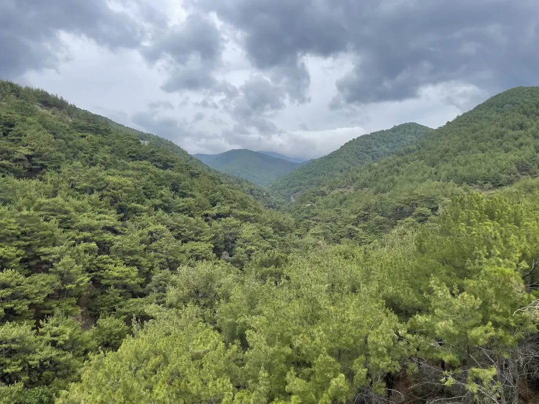LLUM Kamp — Balıkesir — küçük resim 5