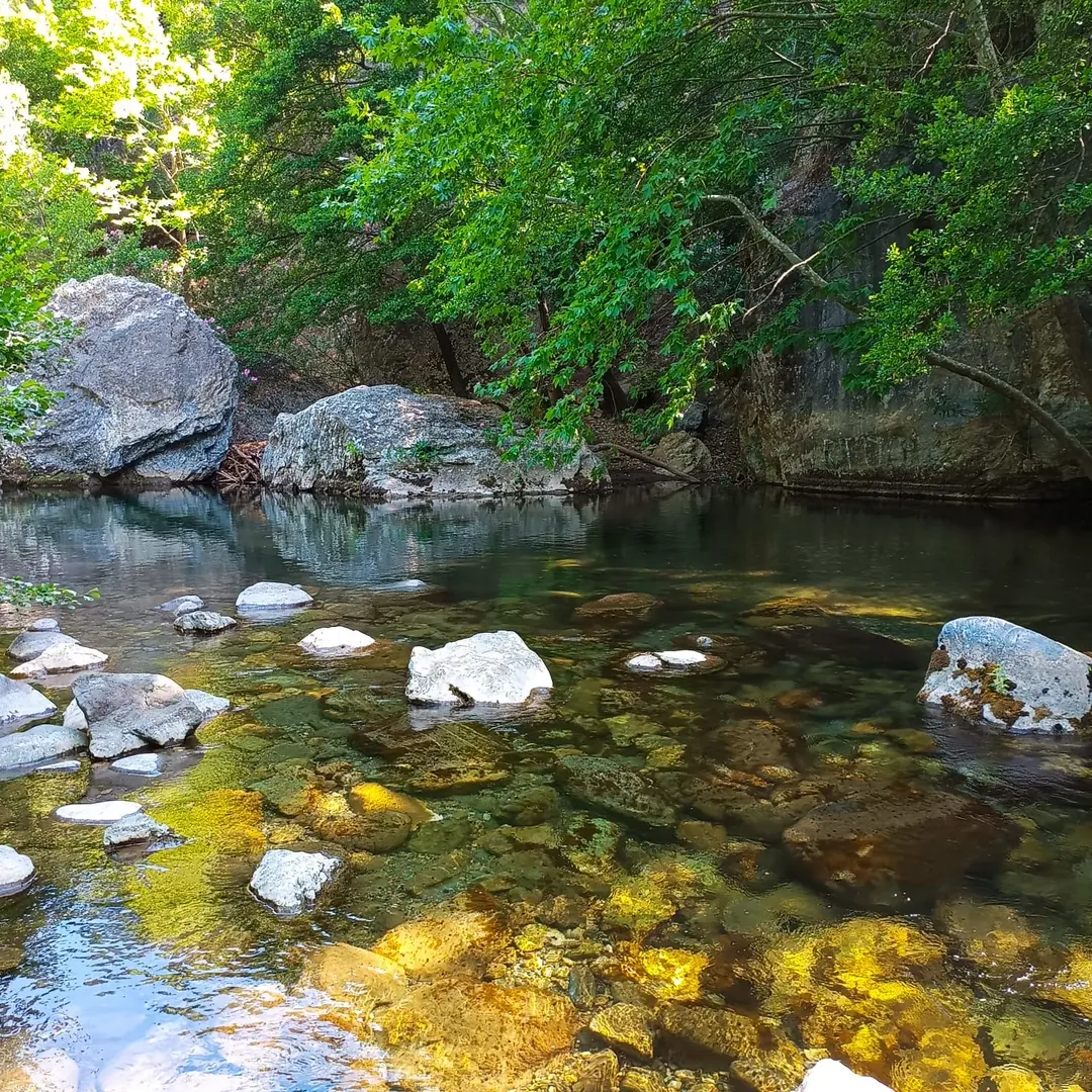 LLUM Kamp — Balıkesir — küçük resim 4