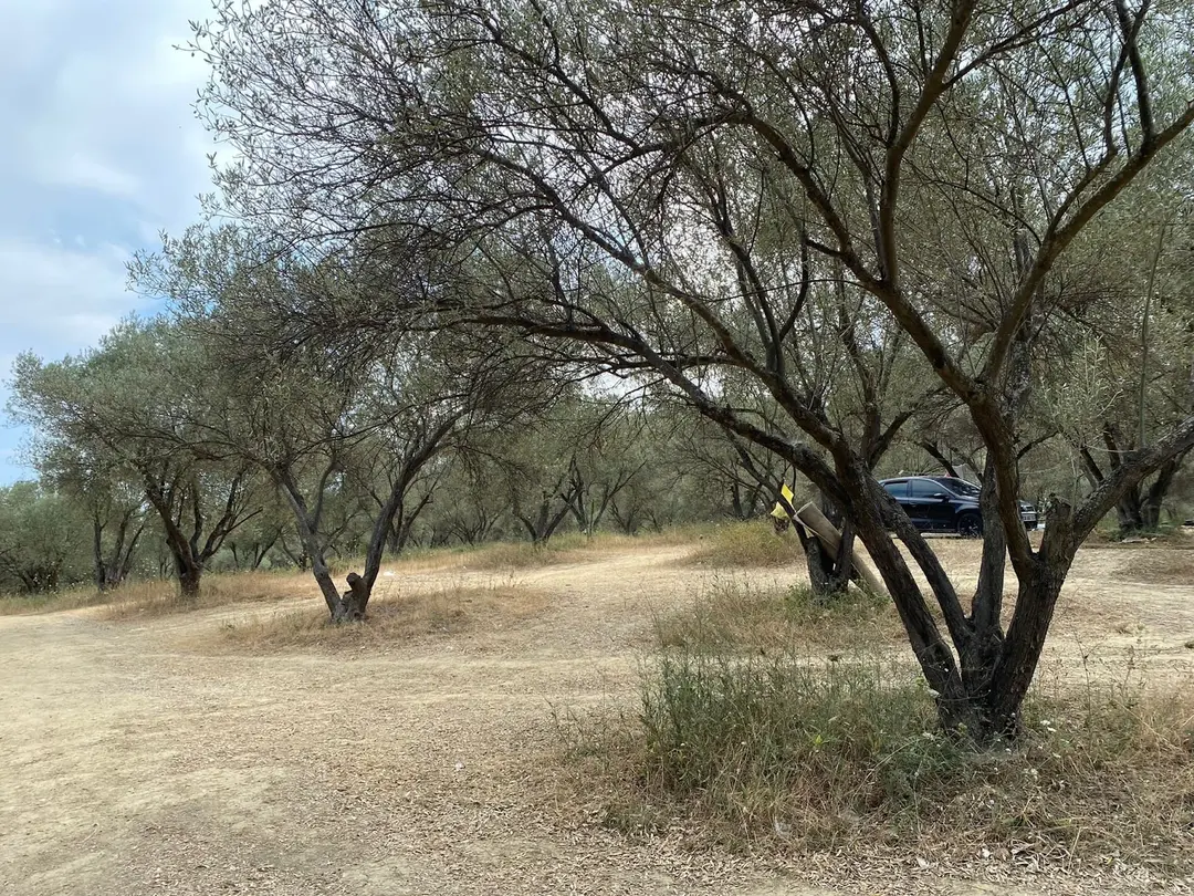 Zeytinlik Çadır Camping and Picnic Area, Şehitlik Tour Organization — Çanakkale — küçük resim 4
