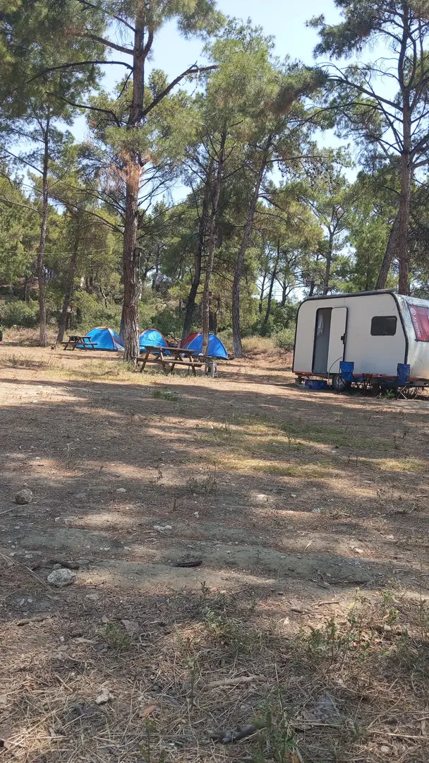 Evreka Kamp Alanı (Çadır-karavan) — Çanakkale — küçük resim 4