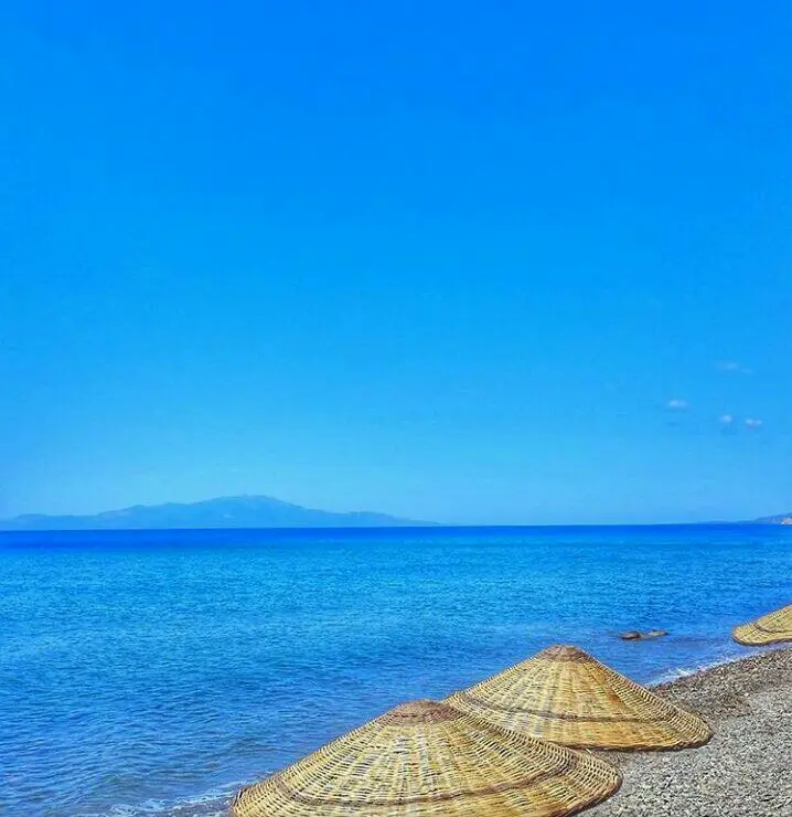 Kamp OLive — Çanakkale — küçük resim 5