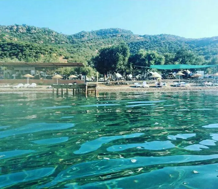 Kamp OLive — Çanakkale — küçük resim 4