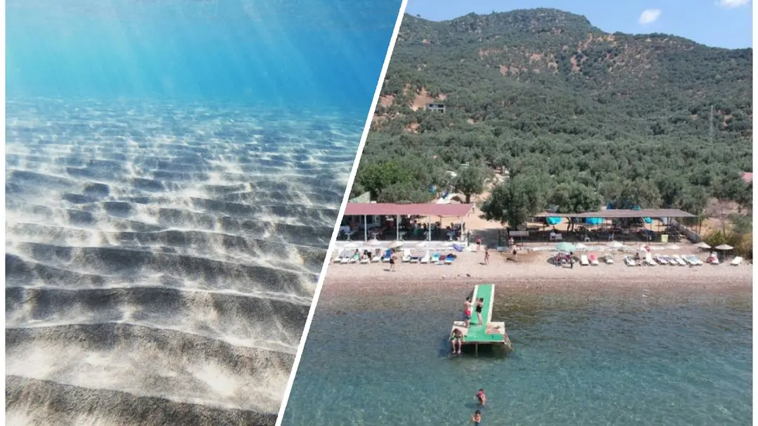 Kamp OLive — Çanakkale — küçük resim 3