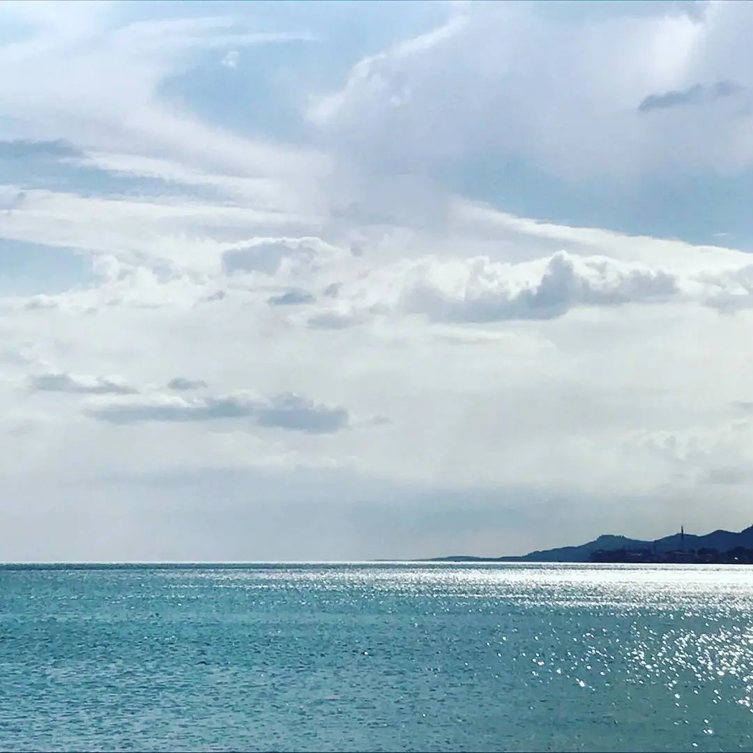 Kamp OLive — Çanakkale — küçük resim 2