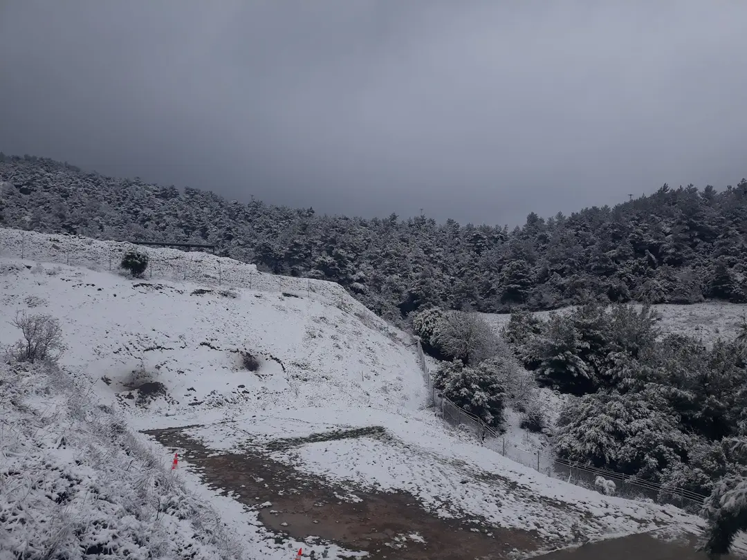 Jandarma Memorial Forest — Çanakkale — küçük resim 6