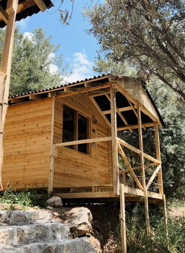 Kabak Famous Camping- Campingplads- Teltplads- Restaurant — Muğla — küçük resim 2