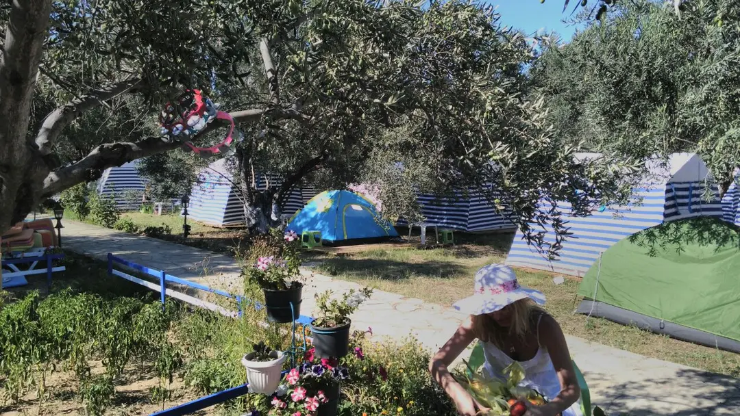 Neverland Camping — Çanakkale — küçük resim 3