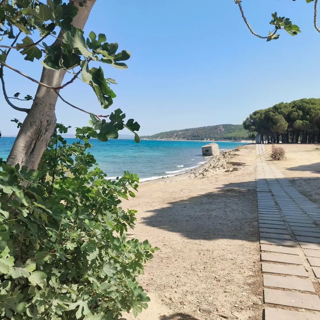 Gelibolu Milli Parkı Kabatepe Dinlenme Merkezi — Çanakkale — küçük resim 6