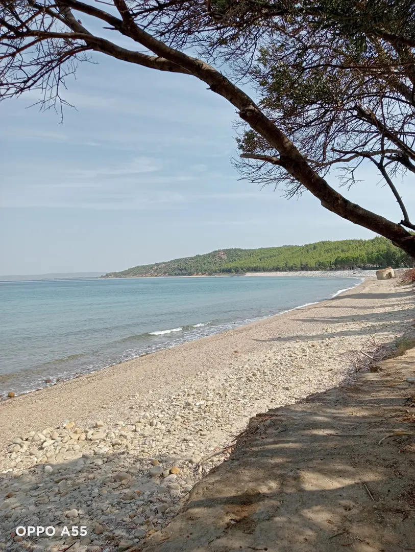 Gelibolu Milli Parkı Kabatepe Dinlenme Merkezi — Çanakkale — küçük resim 7