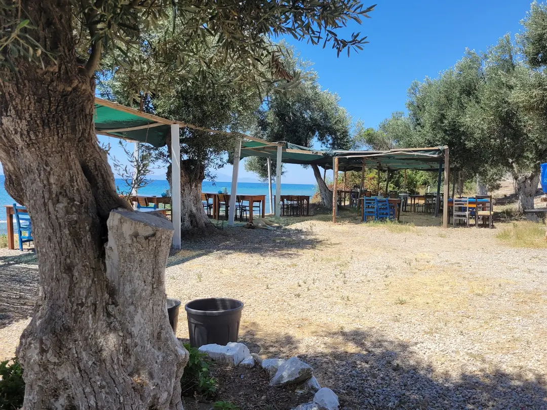 Yörük Yaşarın Yeri Kamp Alanı — Çanakkale — küçük resim 5