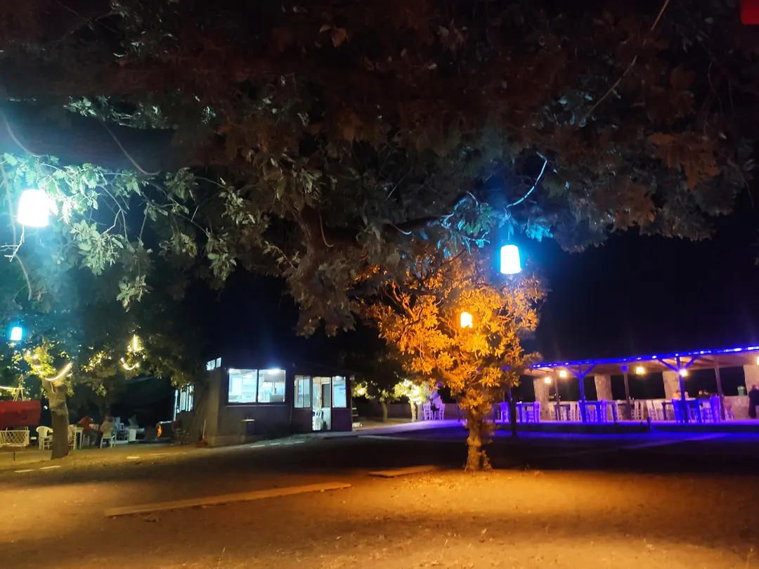 Molivos Camping — Çanakkale — küçük resim 6