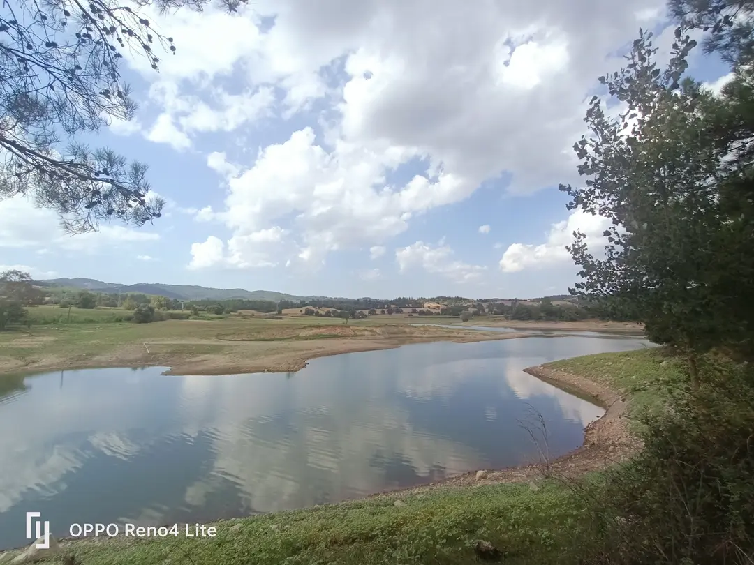 Ida & Ala Camping Area — Çanakkale — küçük resim 4