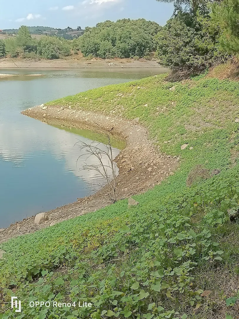 Ida & Ala Camping Area — Çanakkale — küçük resim 7