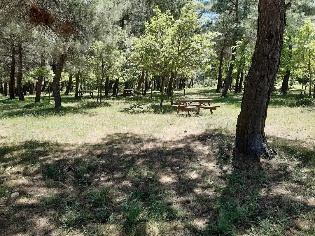 Ida & Ala Camping Area — Çanakkale — küçük resim 2