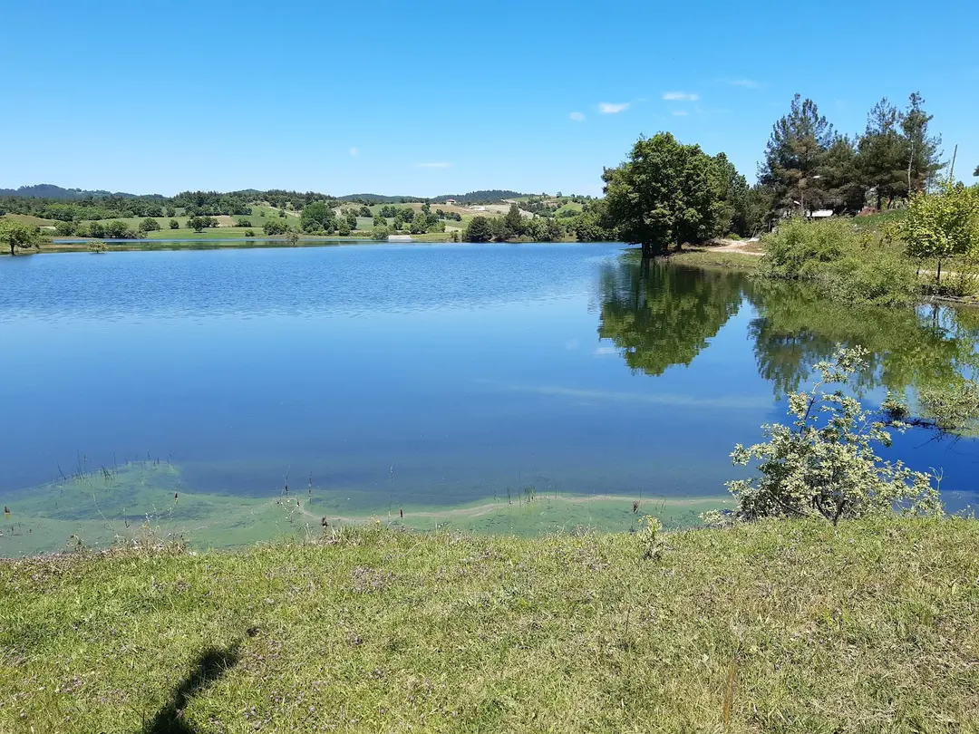 Ida & Ala Camping Area — Çanakkale — küçük resim 10