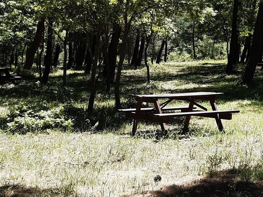 Ida & Ala Camping Area — Çanakkale — küçük resim 6