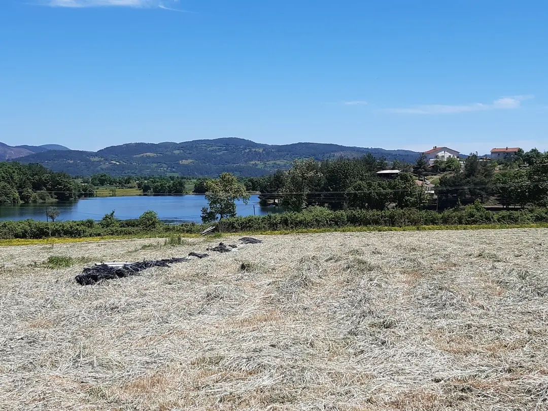 Ida & Ala Camping Area — Çanakkale — küçük resim 5