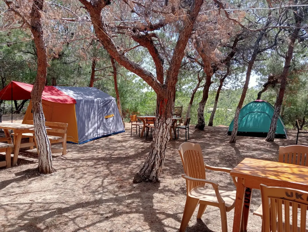 Uğurlu Village Headman's Çamlık Camping Area — Çanakkale — küçük resim 4