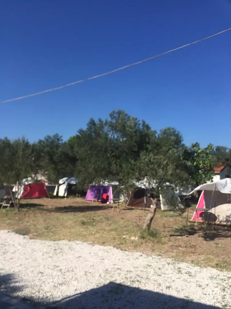 Aylin Camping - Camping Area - Tent Area — Çanakkale — küçük resim 10