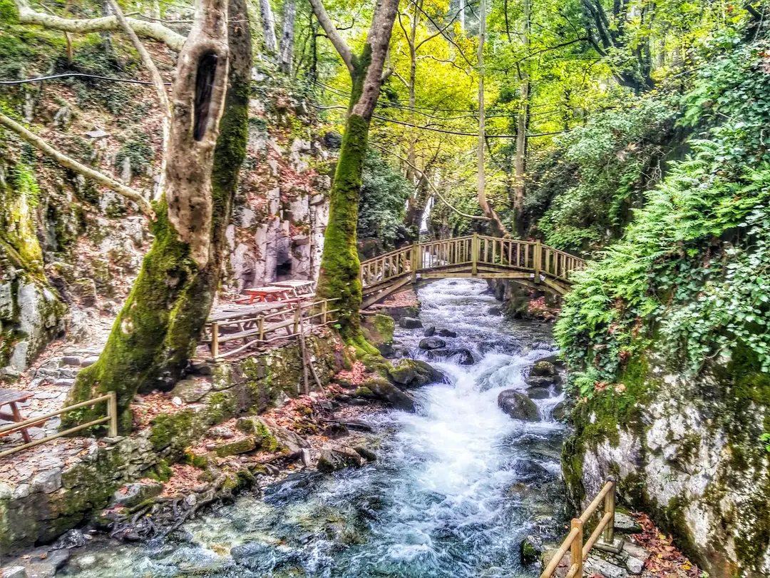 Ayazma Pınarı Tabiat Parkı — Çanakkale — küçük resim 3