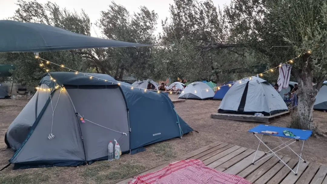Sokakağı Zeytin Kamp — Çanakkale — küçük resim 5