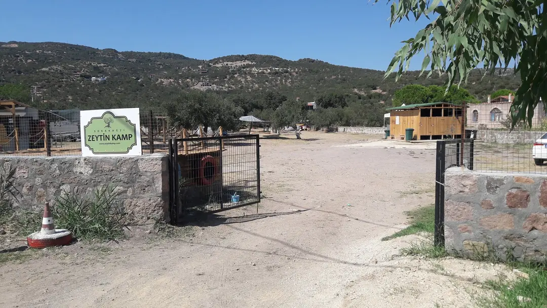 Sokakağzı Zeytin Kamp