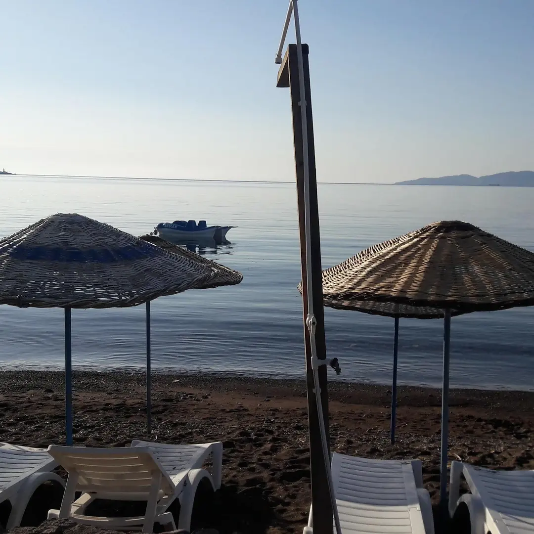 Sokakağı Zeytin Kamp — Çanakkale — küçük resim 2