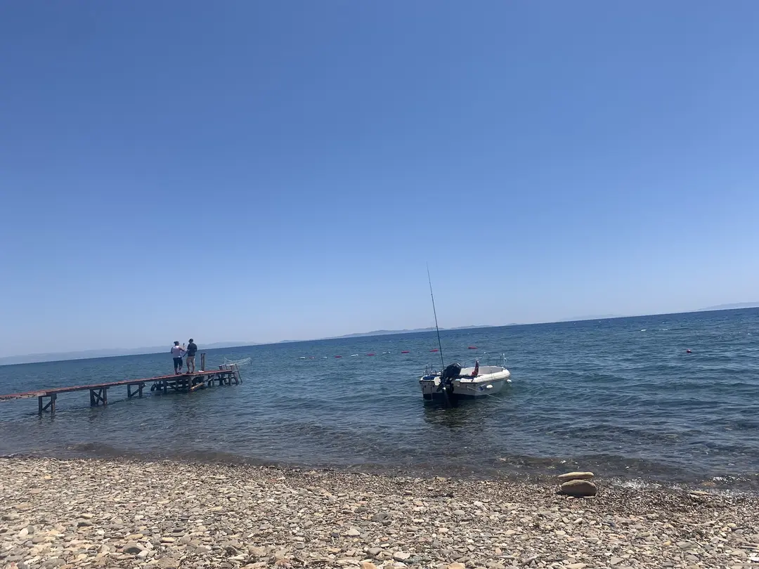 Ali Baba Relax Camping — Çanakkale — küçük resim 5